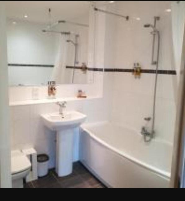 Parc Y Bryn Luxury Penthouse Apartment Aberystwyth Exterior foto